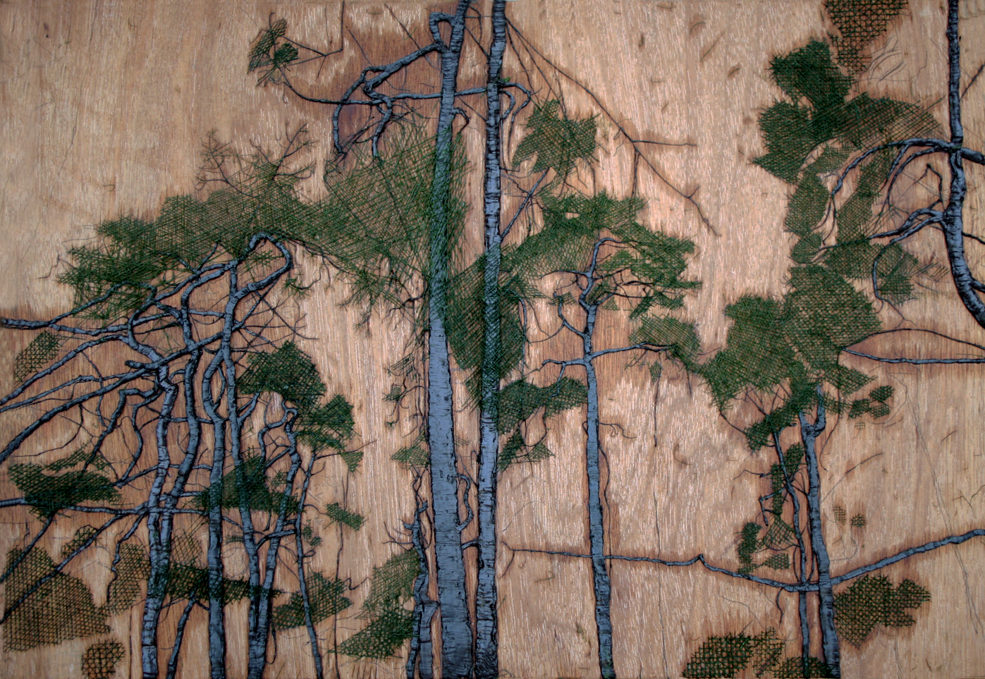 Pine 1, ©Pieter Jan Kerstens