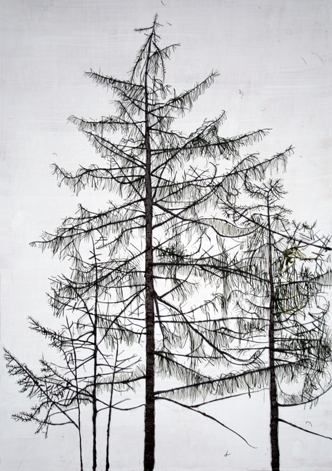 Pine 1, ©Pieter Jan Kerstens
